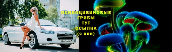ГАЛЛЮЦИНОГЕННЫЕ ГРИБЫ Володарск