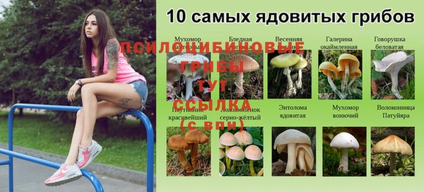 ГАЛЛЮЦИНОГЕННЫЕ ГРИБЫ Володарск