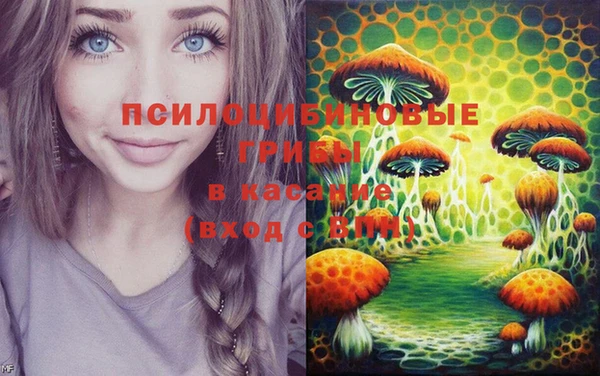 не бодяженный Волоколамск